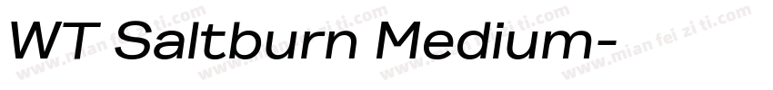 WT Saltburn Medium字体转换
